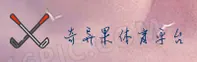 使用指南与常见问题